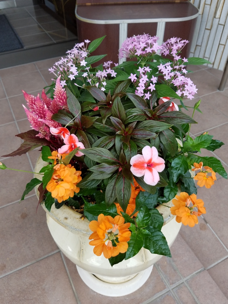 f:id:numamama:20160911113539j:plain f:id:numamama:20160911113539j:plain