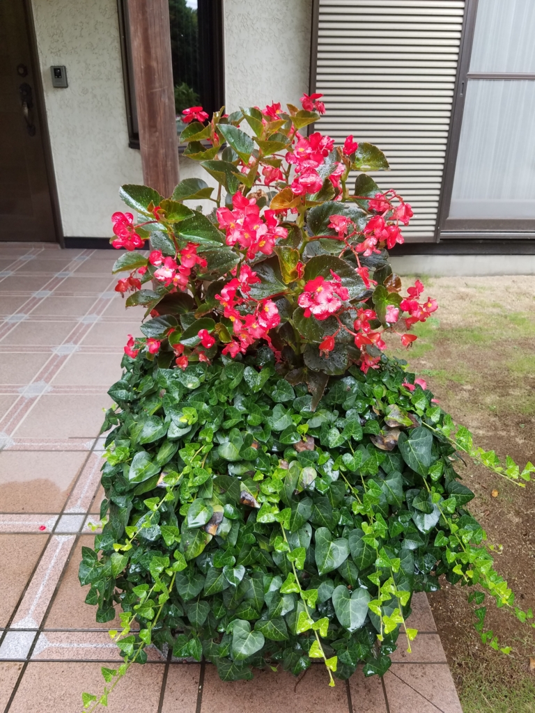 f:id:numamama:20160911113714j:plain f:id:numamama:20160911113714j:plain