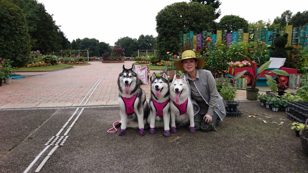 f:id:numamama:20161006221347j:plain f:id:numamama:20161006221347j:plain