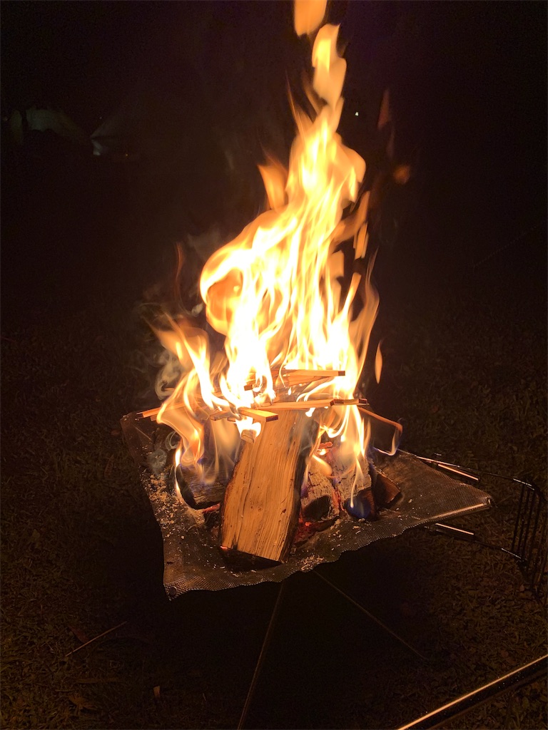 f:id:numanuma08:20190507233058j:image
