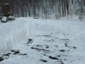 [雪のアプローチ][冬][雪掻き後]