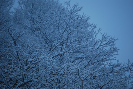 [170423番外編降雪&#10113;]