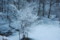 [170423番外編雪のヤマザ]