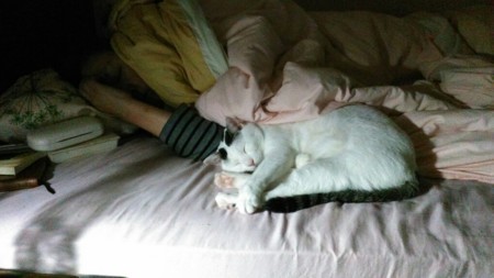 [180710爆睡クルル]
