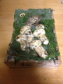 f:id:numasea:20121215011247j:image:medium