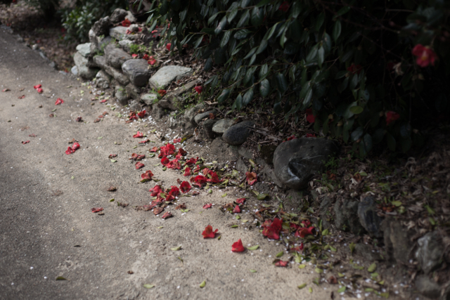f:id:number01:20140331102457j:image