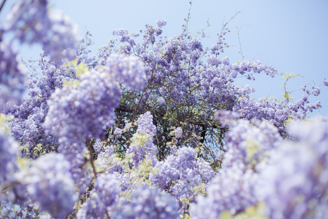 f:id:number01:20140425105643j:image