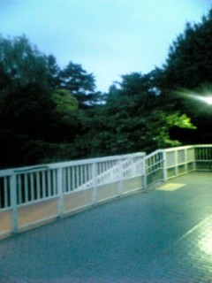 f:id:number29:20070607072307j:image:right