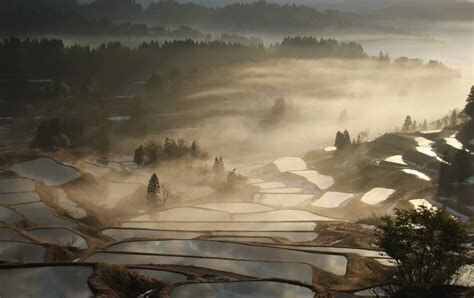 新潟・星峠の棚田の朝霧の風景