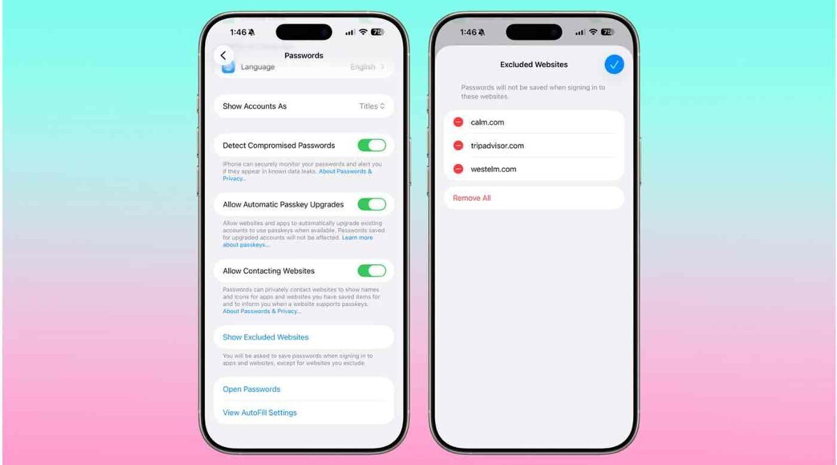 iOS 26.2のパスワード設定で、保存を除外したウェブサイト一覧を管理できる新しい画面を表示するiPhone