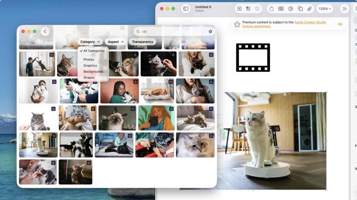 Pagesの編集画面でContent Hubを開き、「cat」で検索した著作権フリー素材（写真・グラフィック・背景・シェイプ）を一覧表示している様子。選択した猫の写真が書類内に配置されている