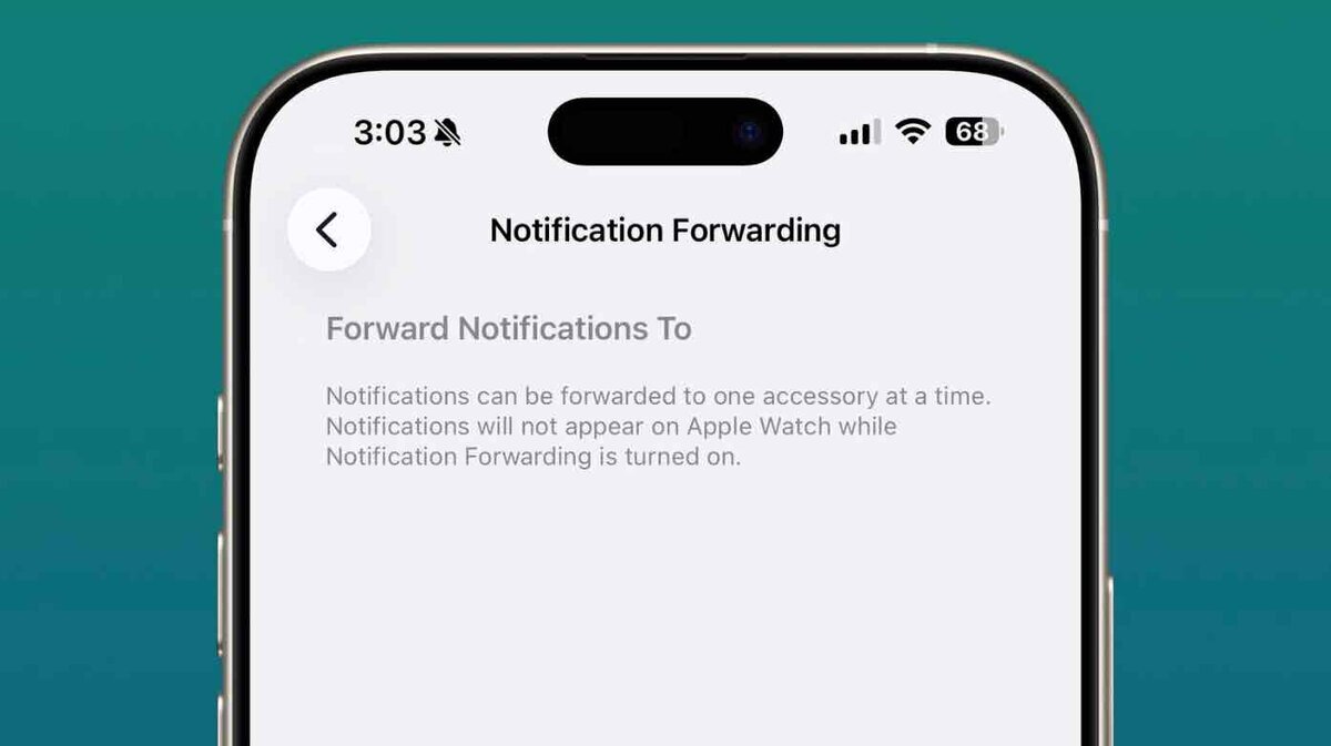 iPhoneの設定画面で「Notification Forwarding（通知転送）」が表示され、通知を1台のアクセサリに転送できる旨が説明されているスクリーンショット