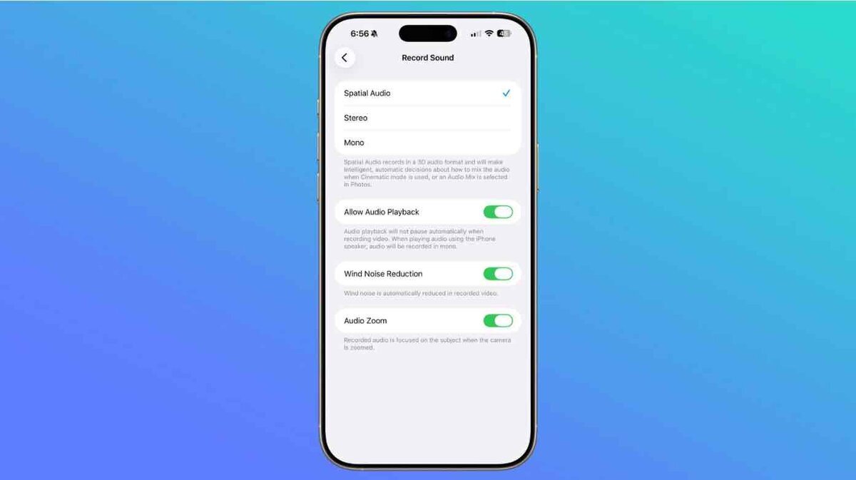 iPhoneの「Record Sound(録音)」設定画面。Spatial Audio/Stereo/Monoの選択肢と、「Allow Audio Playback」「Wind Noise Reduction」「Audio Zoom」の各トグルが表示されている