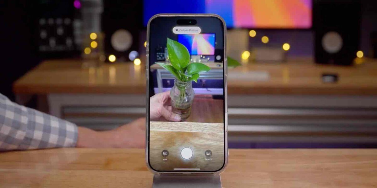 木製デスク上のiPhoneで、カメラアプリが小瓶に入った植物を認識している様子が表示されている画像