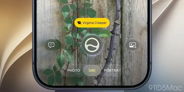 iPhoneのカメラを植物のつるに向けた画面。黄色いラベルに葉のアイコンと「Virginia Creeper」という植物名が表示されている
