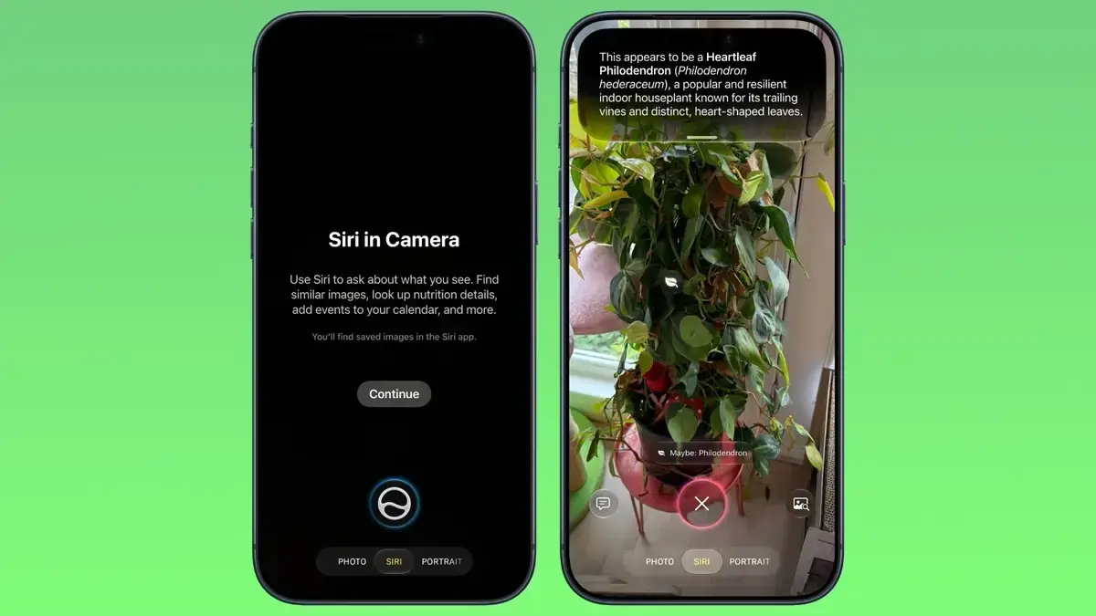 緑背景に並ぶiPhone2台。左はカメラの「Siri in Camera」の説明画面、右は観葉植物にカメラを向けて英語で植物名と特徴が説明されている画面。下部のモード切り替えはPHOTO・SIRI・PORTRAIT