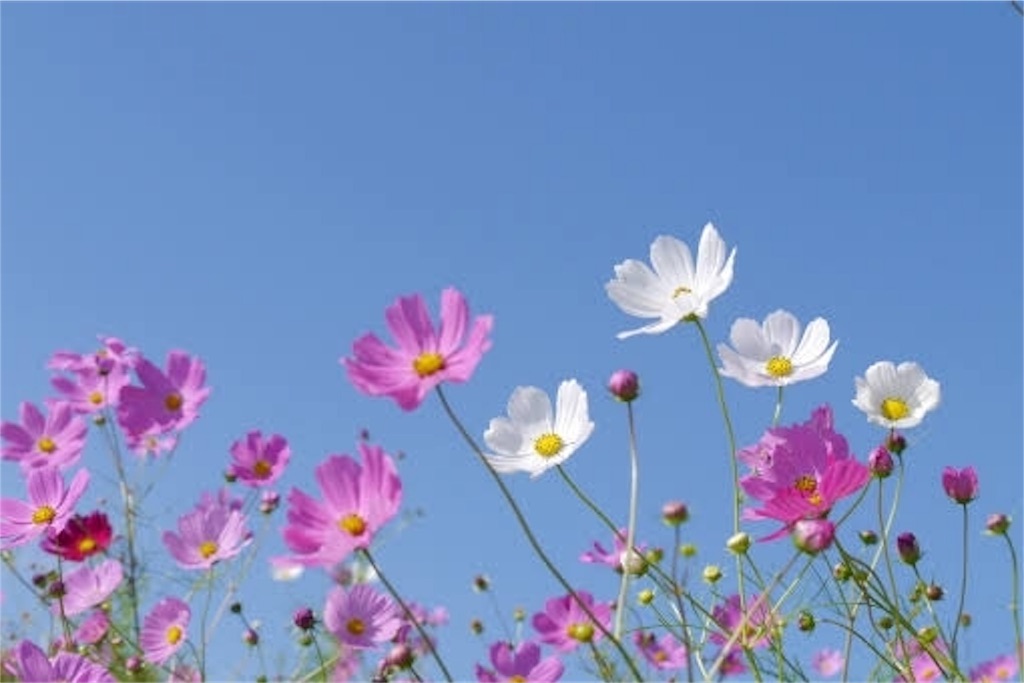 f:id:numeOL:20190914223241j:image