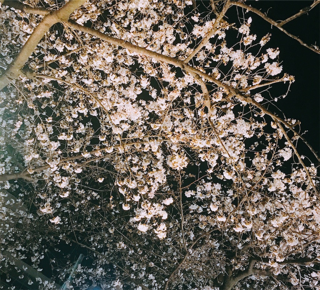 f:id:numeOL:20200328191836j:image