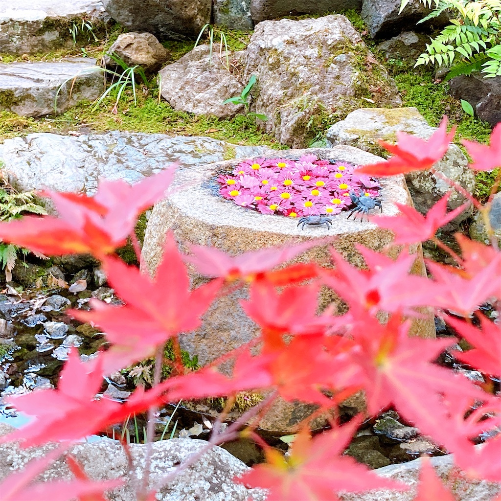 f:id:numeOL:20201115160820j:plain