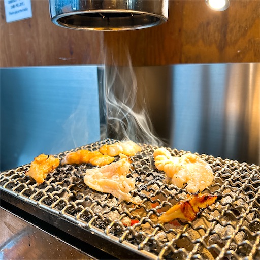 f:id:numeOL:20250412200633j:image f:id:numeOL:20250412200633j:image