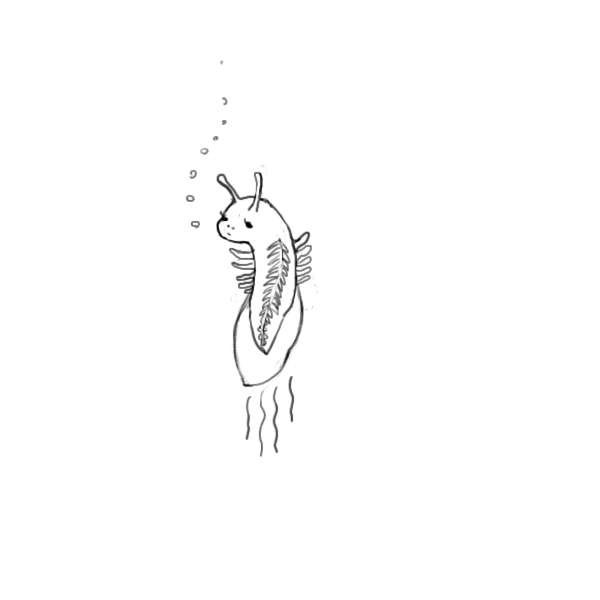 f:id:nunakawa:20150629194338j:image