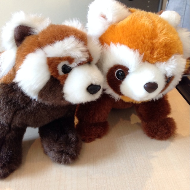 f:id:nunchaku:20141003171747j:plain f:id:nunchaku:20141003171747j:plain