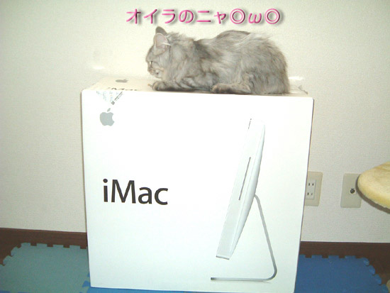 イメージ 3