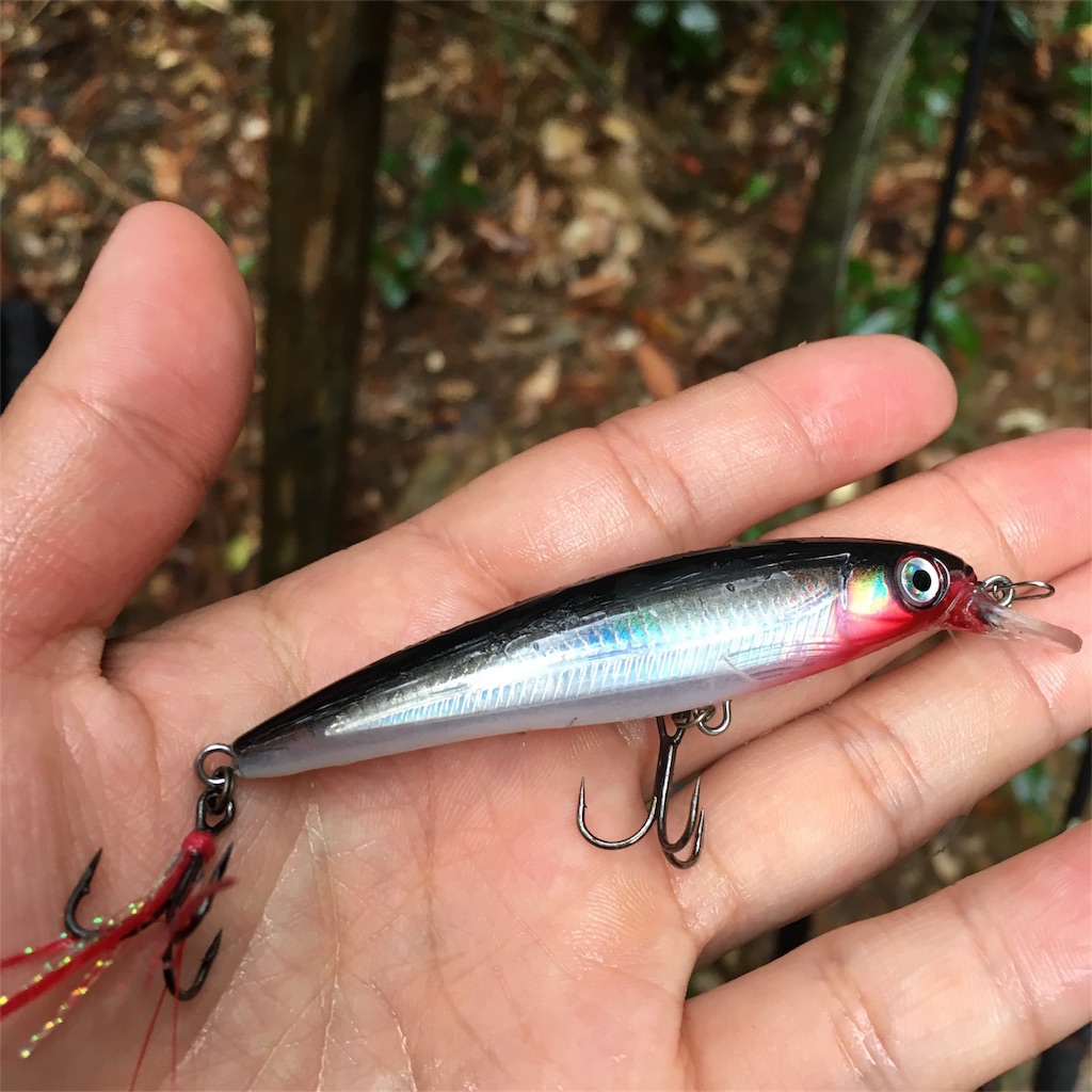 18年4月 バス釣り ｉ ひとりごと
