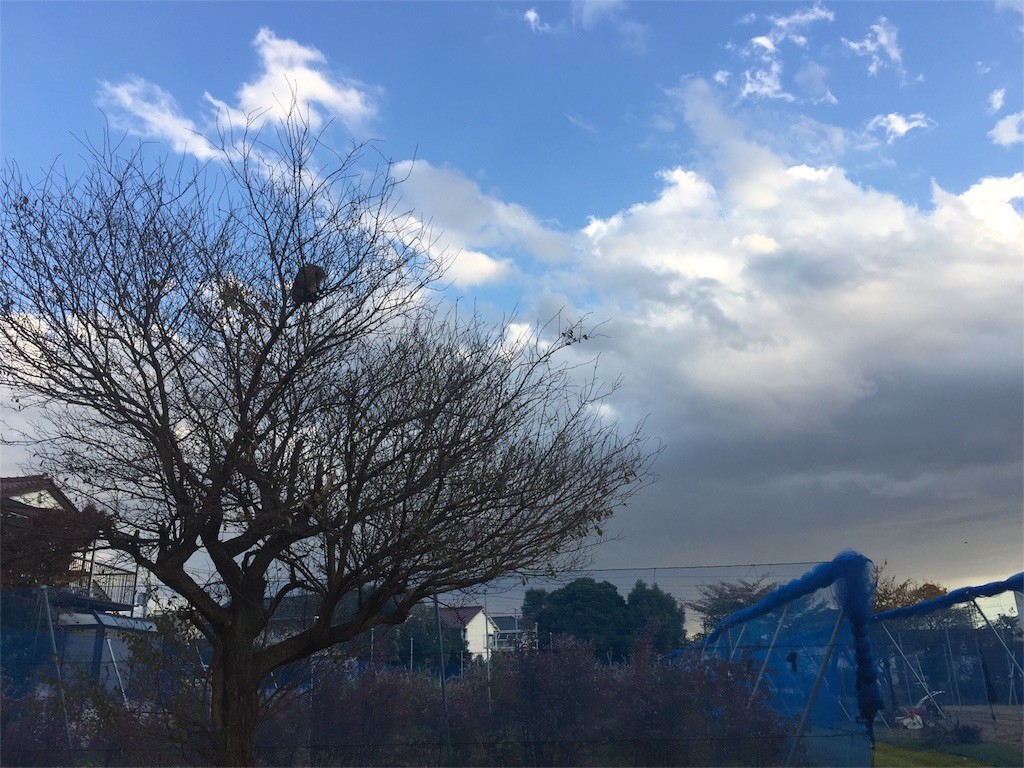 f:id:nununi:20180127101045j:image f:id:nununi:20180127101045j:image