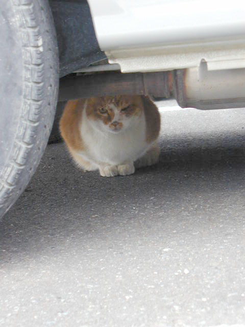 f:id:nununi:20180210121219j:plain f:id:nununi:20180210121219j:plain