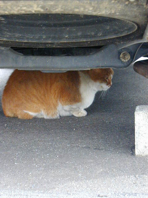 f:id:nununi:20180210121222j:plain f:id:nununi:20180210121222j:plain