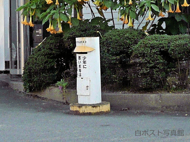 f:id:nununi:20180324111520p:plain f:id:nununi:20180324111520p:plain