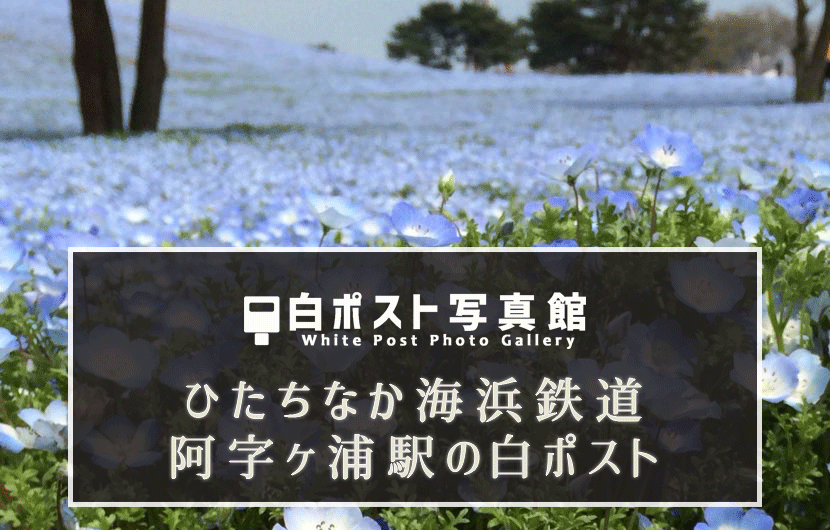 f:id:nununi:20180429230526p:plain f:id:nununi:20180429230526p:plain