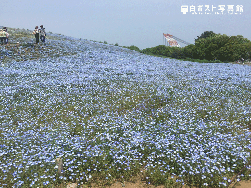 f:id:nununi:20180430105956p:plain f:id:nununi:20180430105956p:plain