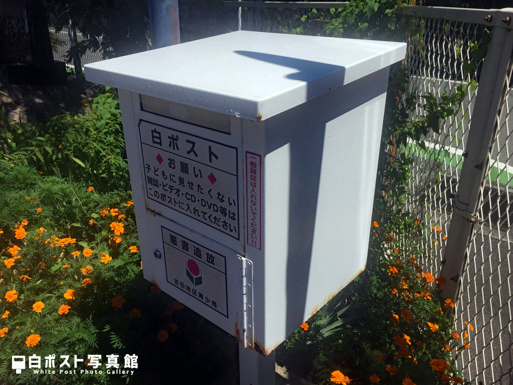 右から見た図