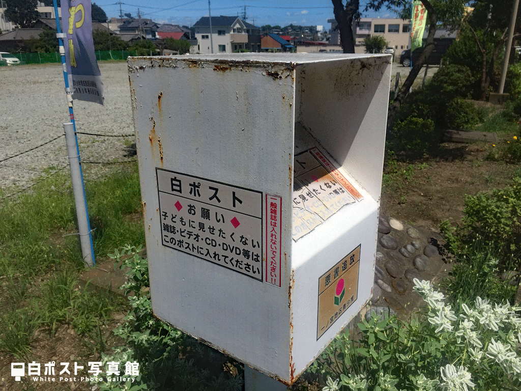 左から見た図