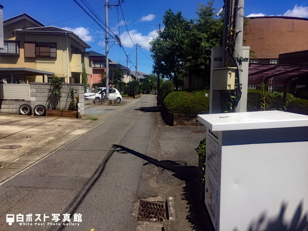 少し角度を変えてもう一枚