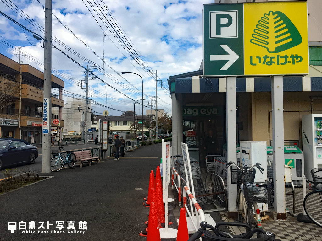 もう少し近寄ってみた図