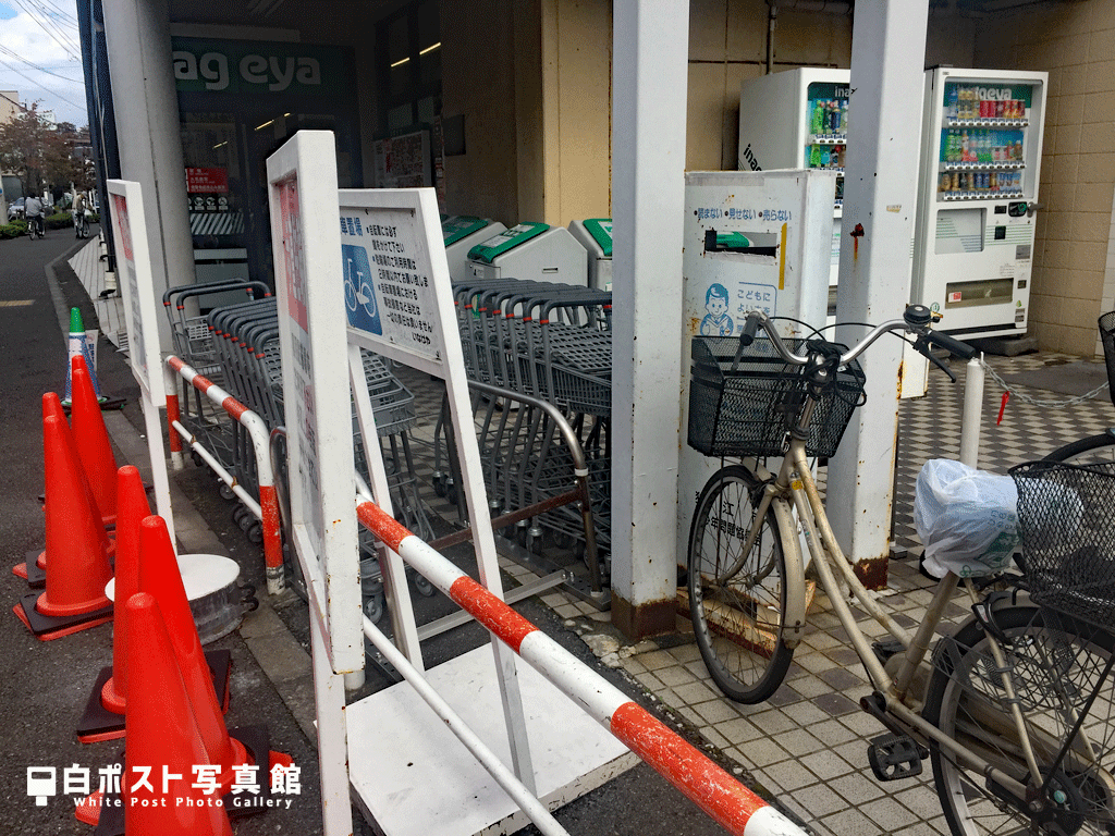 更に接近してみた
