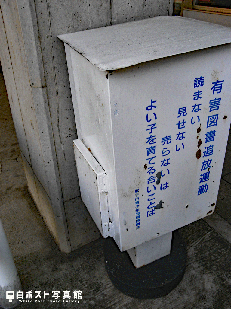背面図