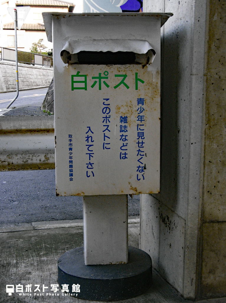 正面から見た図