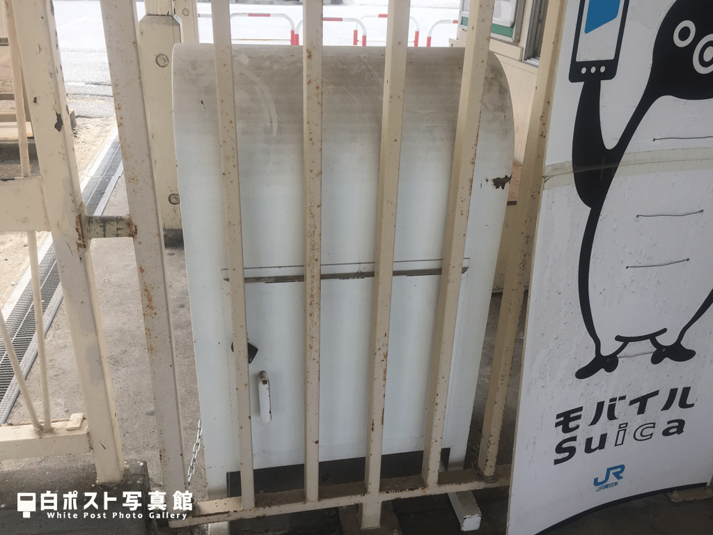 こ、この後ろ姿は！