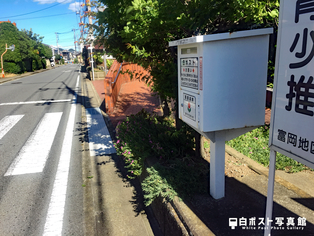 少し引いた位置から