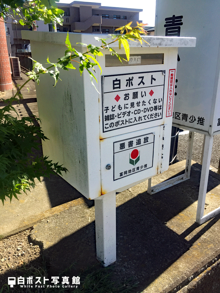 左から見た図