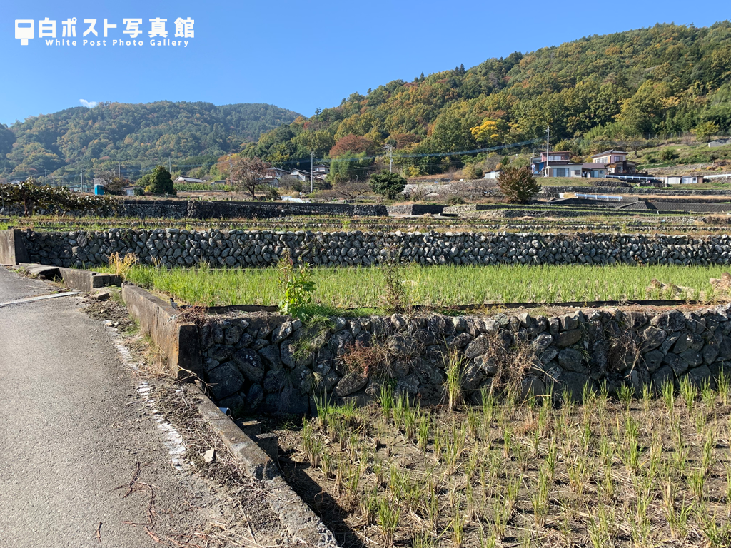 𣇃米の棚田
