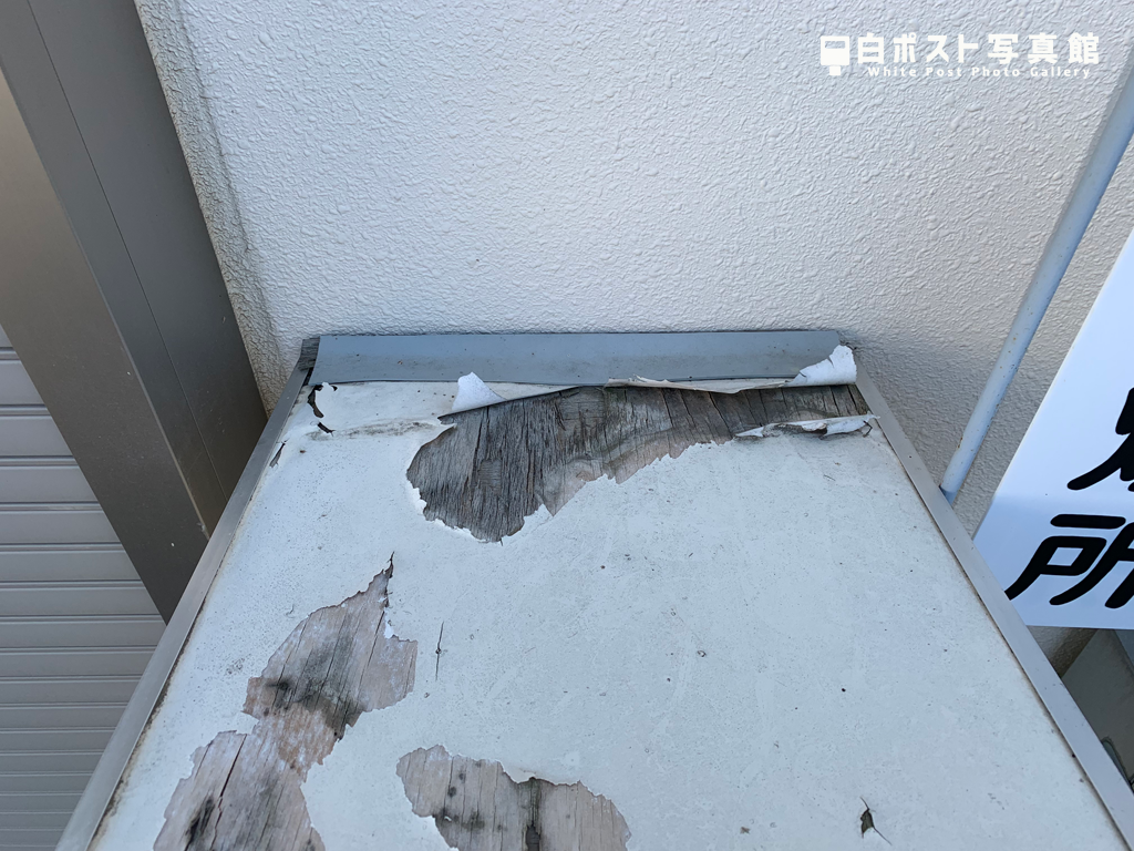 屋根部分を拡大