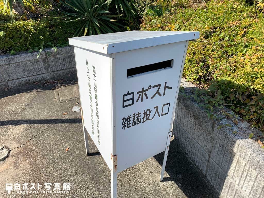 左から見た図