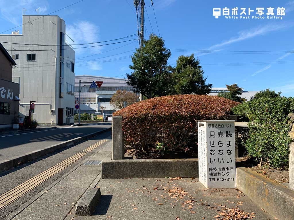少し引いた位置から