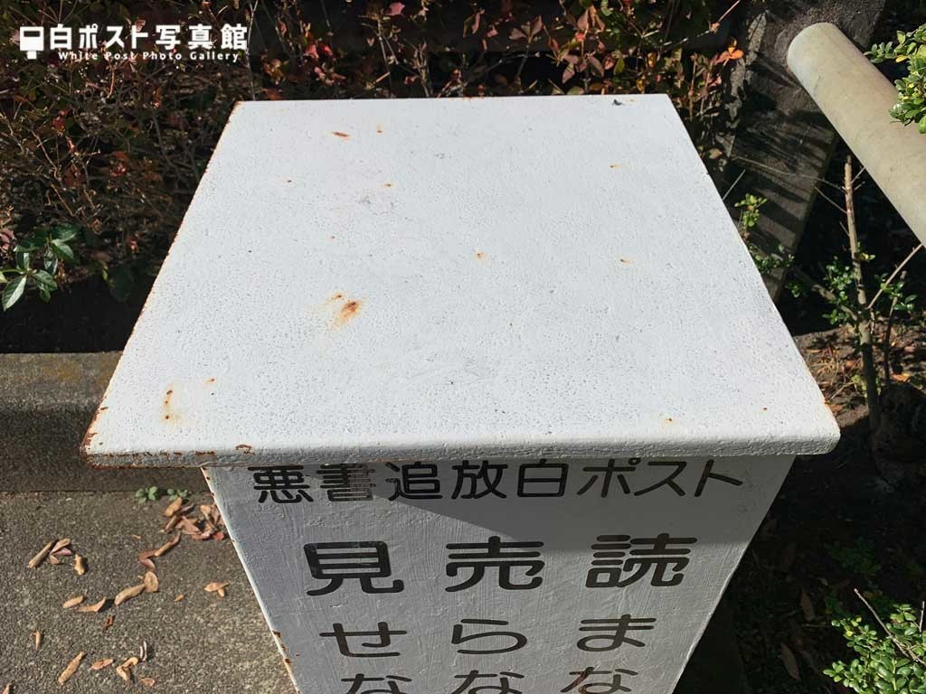 上から見た図