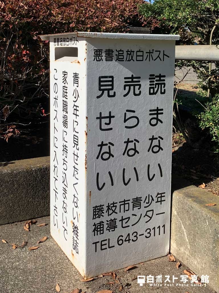 右から見た図